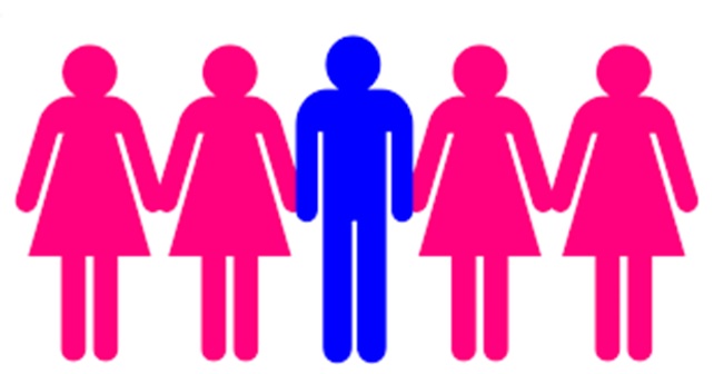 The topic is polygamy